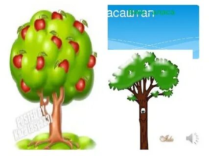 Ресейдегі эротикалық теледидар