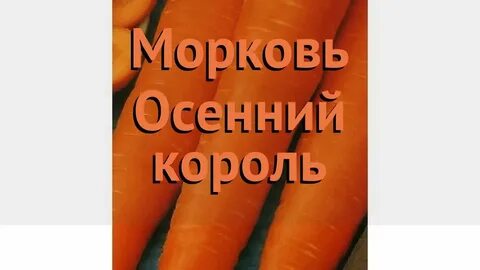 Короли осени сценарий