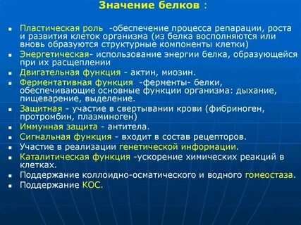 Значение белков в составе клетки