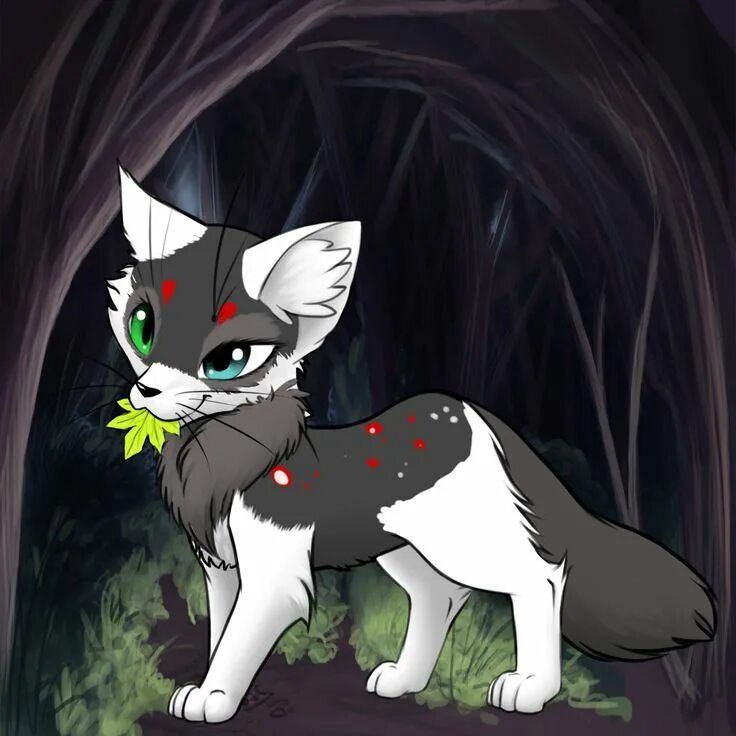 Warrior cat picrew. Коты воители felidaze felidform. felidaze warrior cats creator. felidaze felidform warrior cats. felidaze&#039;s warrior cats creator picrew.