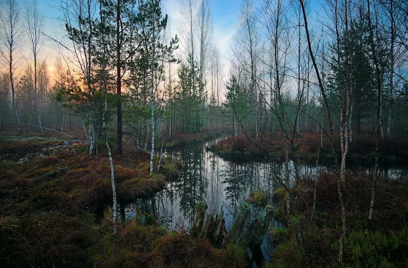 болот плат. топи да болота есенин картина. болот плат. христофоровские болота кировская область. головин художник болотная топь.