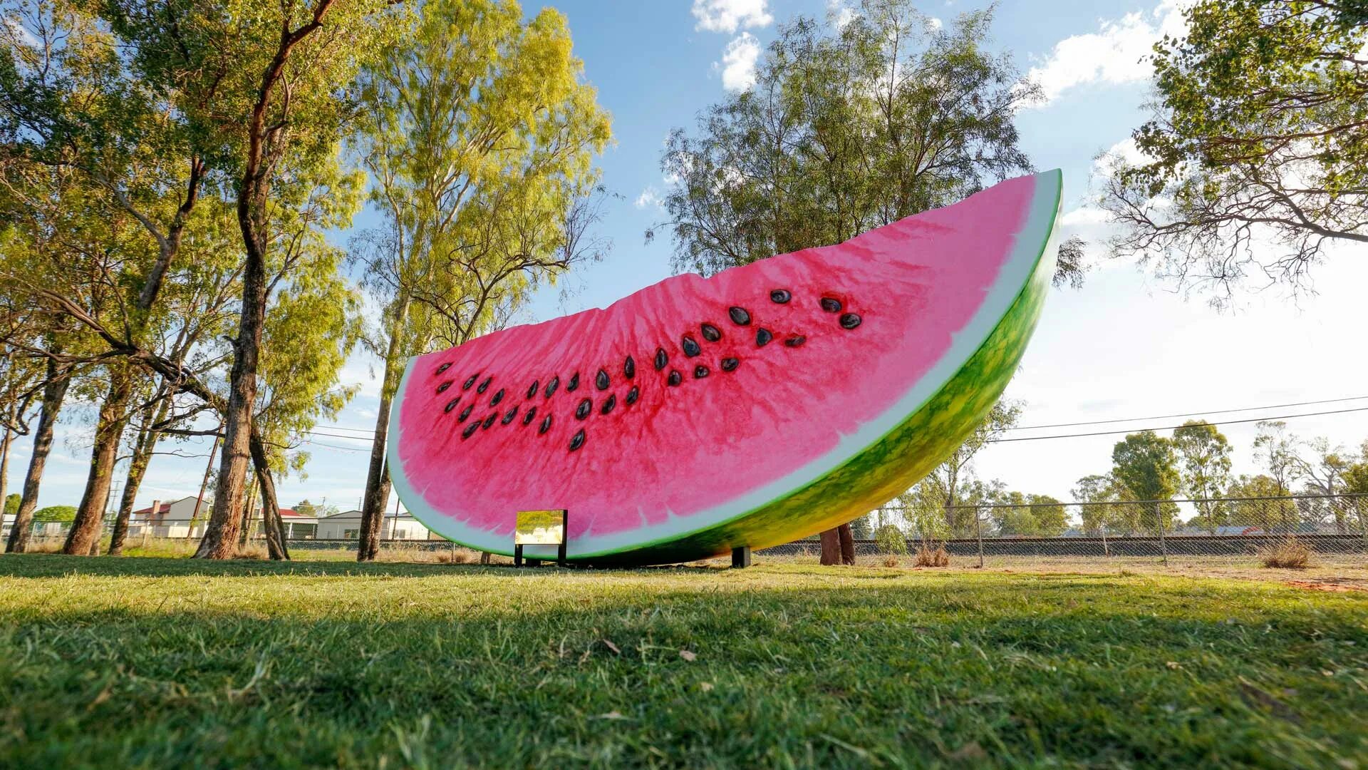 самая большая ягода. большой астраханский арбуз. крискент арбуз. арбуз 130 кг. самый большой арбуз в мире вес.