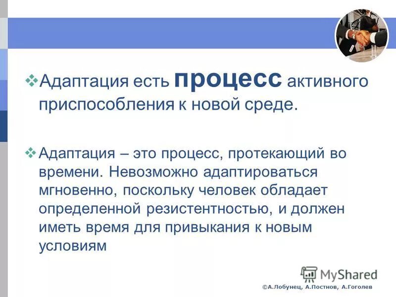 приспособление животных и растений в тайге. адаптации организмов к условиям среды. адаптация ели. основные виды адаптации. приспособление человека.