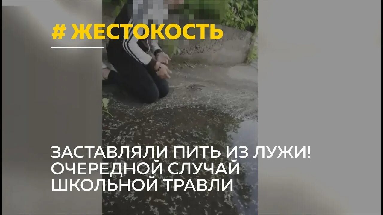 Две заставляют пить мочу. Заставляют девушку пить из лужи.