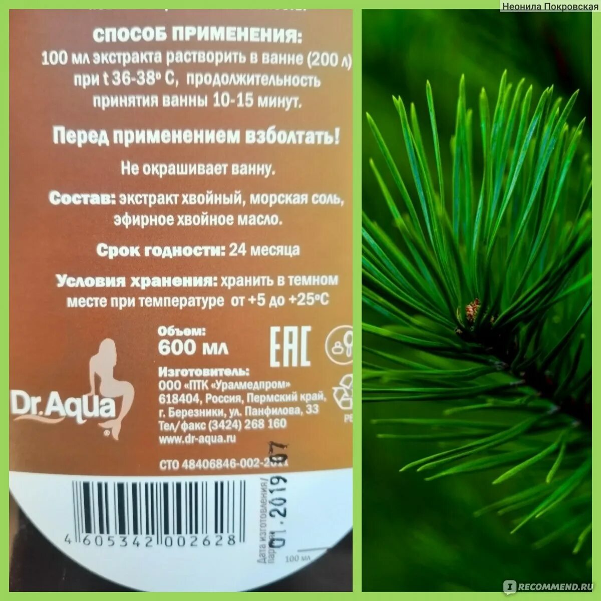 Пихтовый напиток сто лет. Ому для хвойных. Терпены пихты. Хвоя для ванны. Экстракт хвои состав.