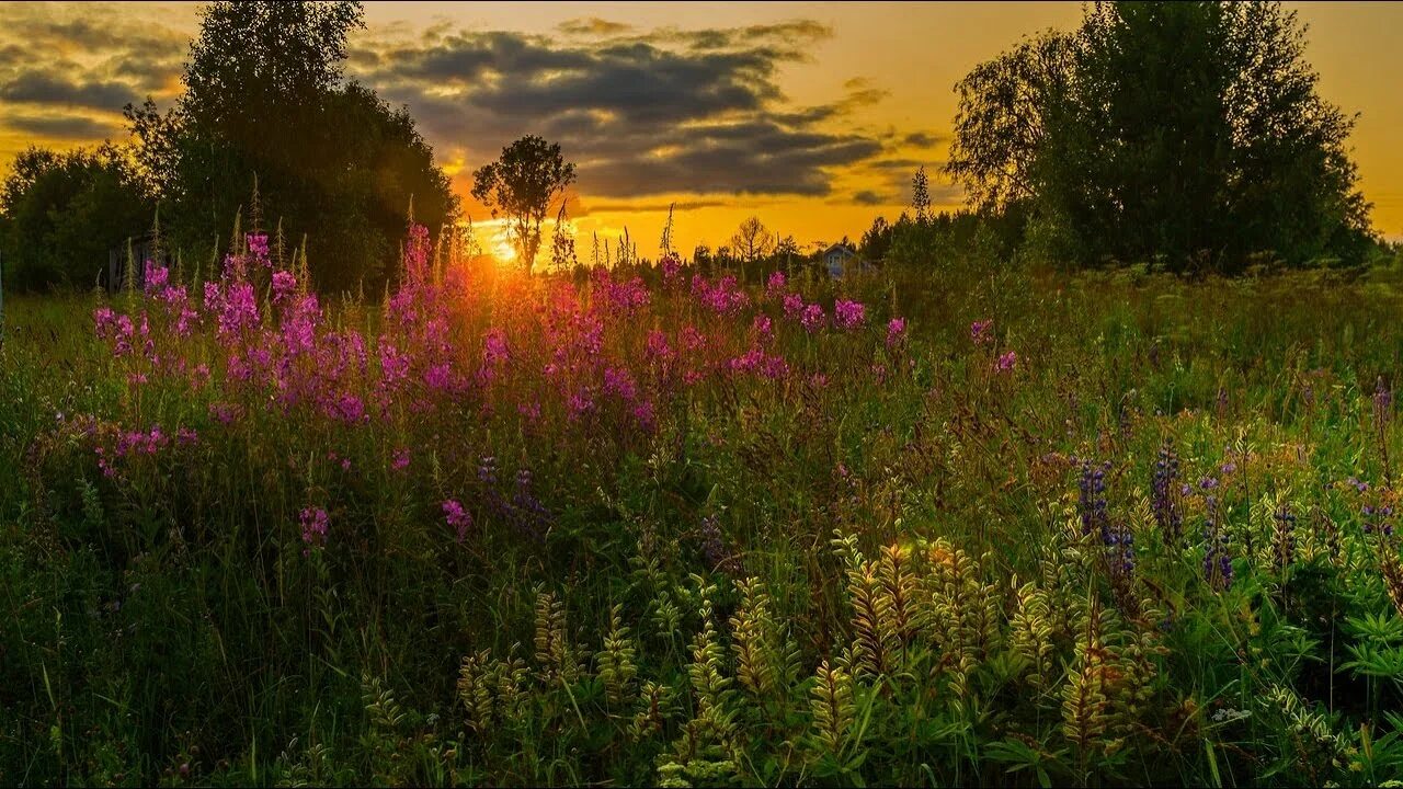 Родная сторонушка. Родная сторонка деревня. Милая сердцу природа. Милая сторонушка. Песня родная сторонушка