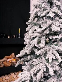Ель заснеженная