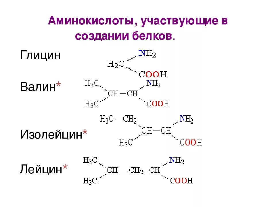 Лейцин строение аминокислоты. Валин строение аминокислоты. Аминокислота лейцин химическое строение. Какова химическая структура аминокислоты изолейцина. Название 3 белков