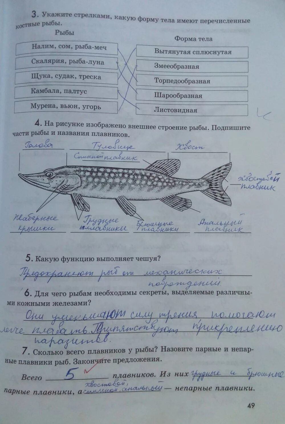 Лабораторная по биологии 7 класс. Класс рыбы задание. Лабораторная по биологии рыбы. Книги по биологии рыб.