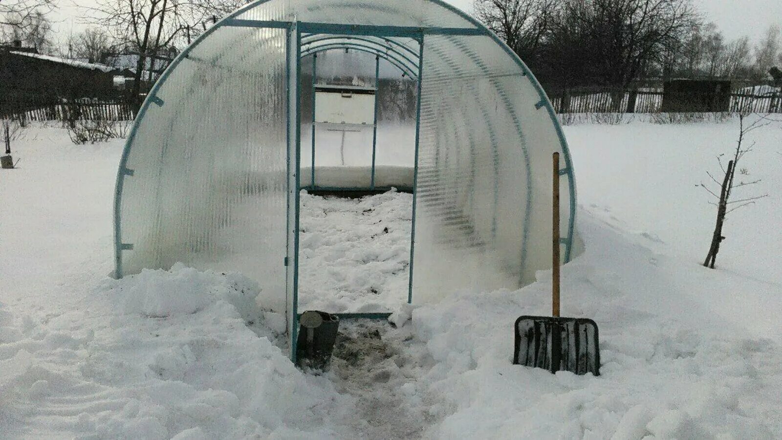 Теплица из поликарбоната зимой. Теплица в снегу. Парники зимой из поликарбоната. Теплица снежок.