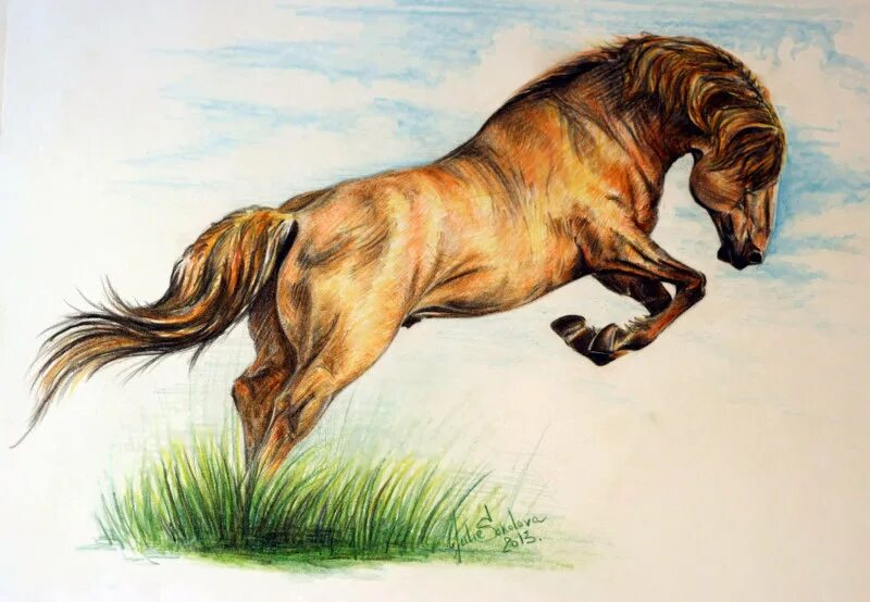 Лошадь рисунок. Лошадь рисунок цветной. Детские рисунки лошадей цветными карандашами. Лошадь карандашом. Мари-одиль колатрелла: рисуем лошадей.