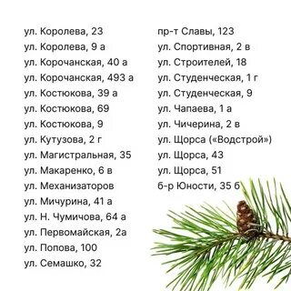 Елочный базар белгород
