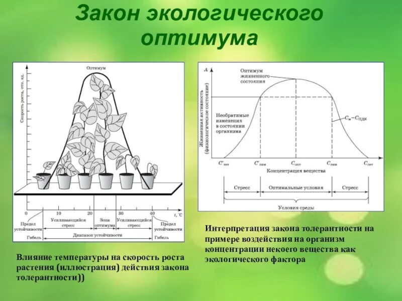 Закон оптимума это. Закон оптимума и пессимума. Закон минимума оптимума и максимума. Закон оптимума схема действия. Факторы среды зона оптимума.