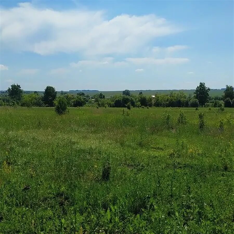 село голубинка бахчисарайский район крым. сумино фото. гремячка курская область. деревня конезерье лужского района. 700 соток.