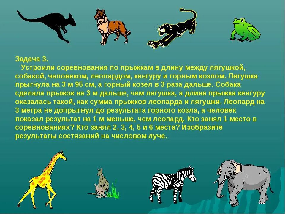 Длина прыжка животных. Юмористический рассказ по прыжкам в длину. прыжки в длину животные. состязание человека и животных по прыжкам в длину рассказ. юмористический рассказ по прыжкам в длину животных и человека.