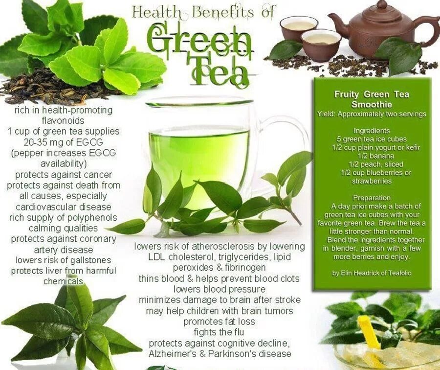 Песни пей чай зеленый. Греен Теа чай. Зеленый чай для похудения. Зеленый час дл похудкгя. Чайная диета для похудения.