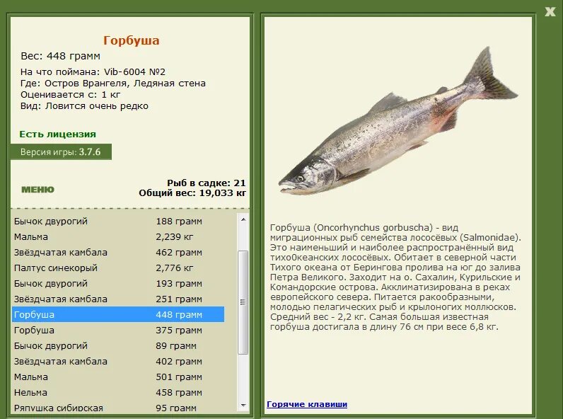 на что ловить карася. платная рыбалка. русская рыбалка ангара нельма. рыбалка на линя. рыбалка на карпа.