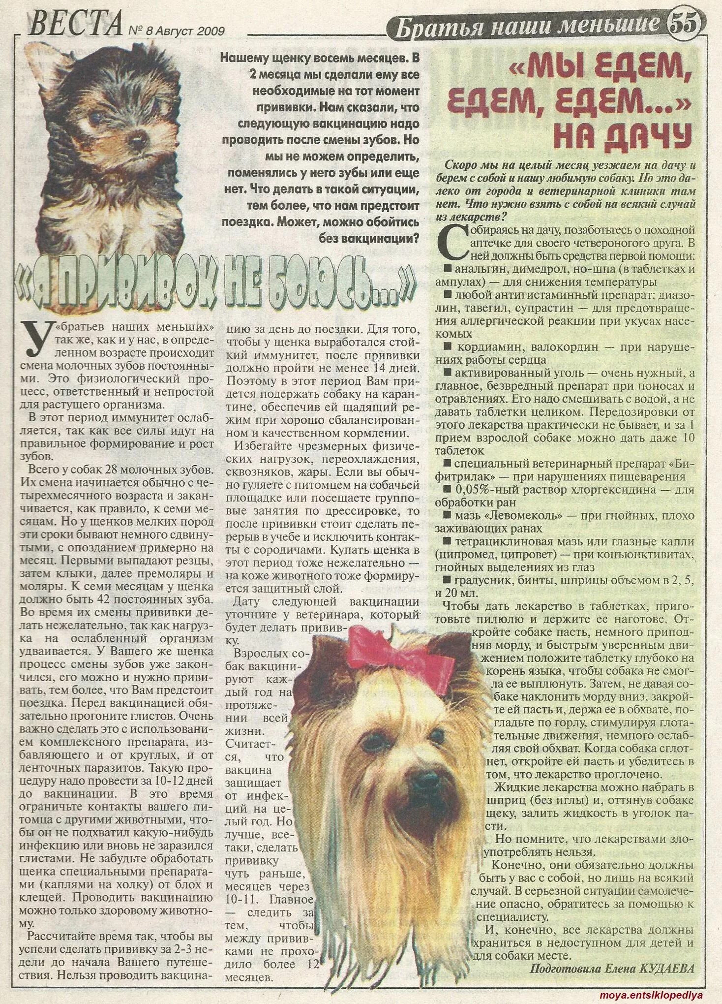 Можно ли купать собаку после прививки. Можно ли мыть собаку после прививки. прививки для собак. прививки для собак мелких пород. что нужно для собаки.