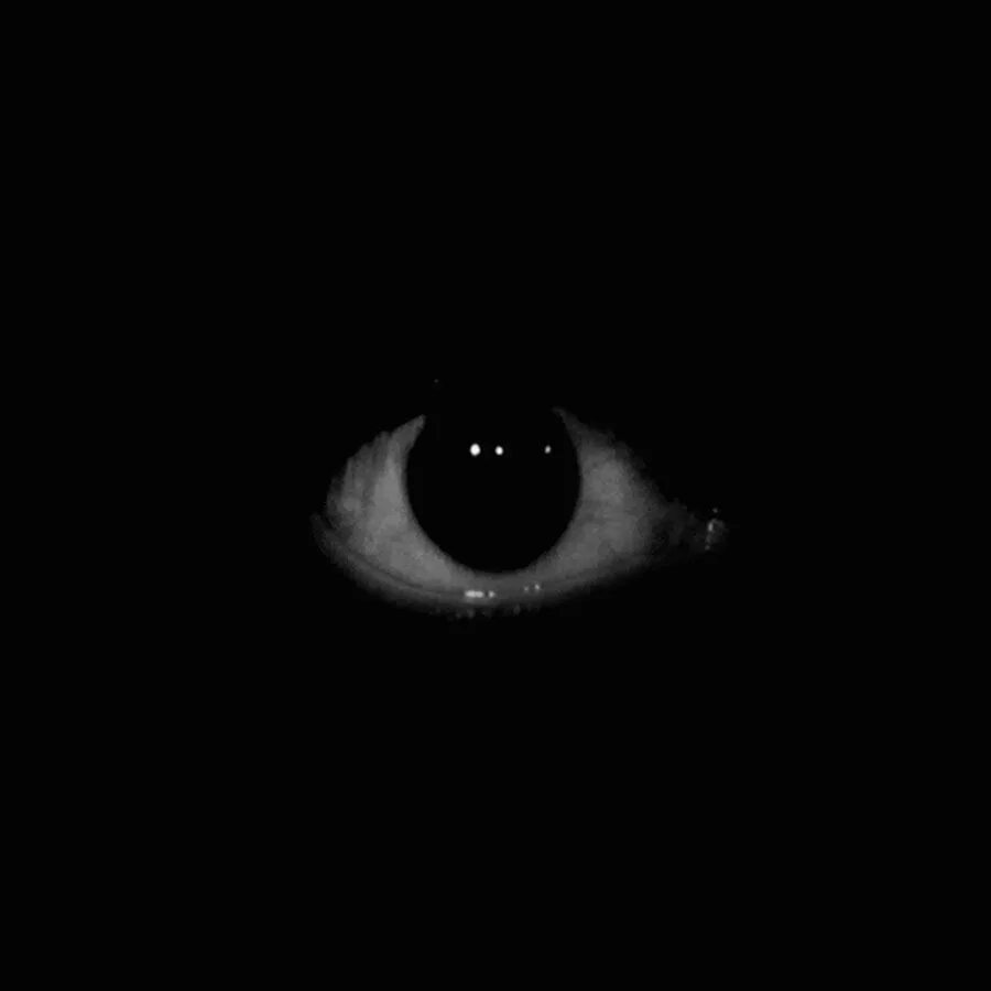Страшные глазки. СКС-45 самозарядный карабин Симонова. Глаза из Темноты.