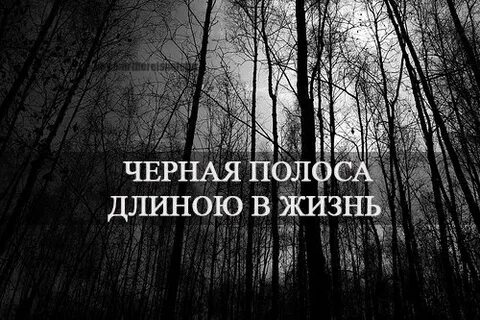 Простая полоса нашей жизни