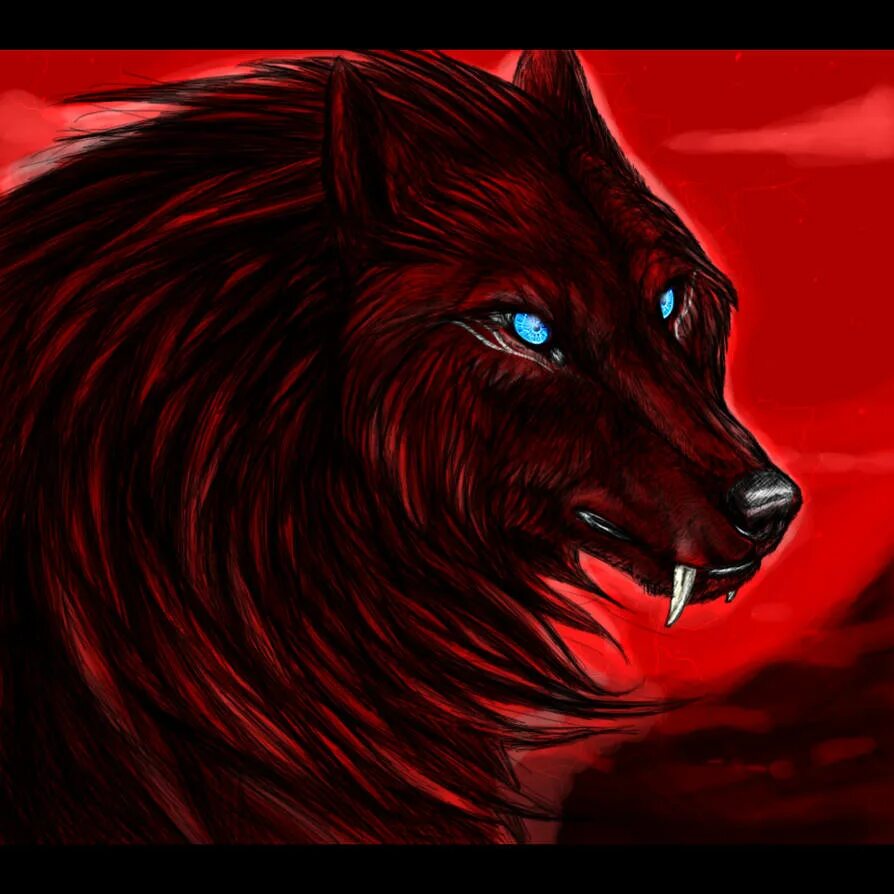 Ред вольф. Рэд демон красный волк. Черный волк. Волк с красными глазами. Чёрный волк с красными глазами.