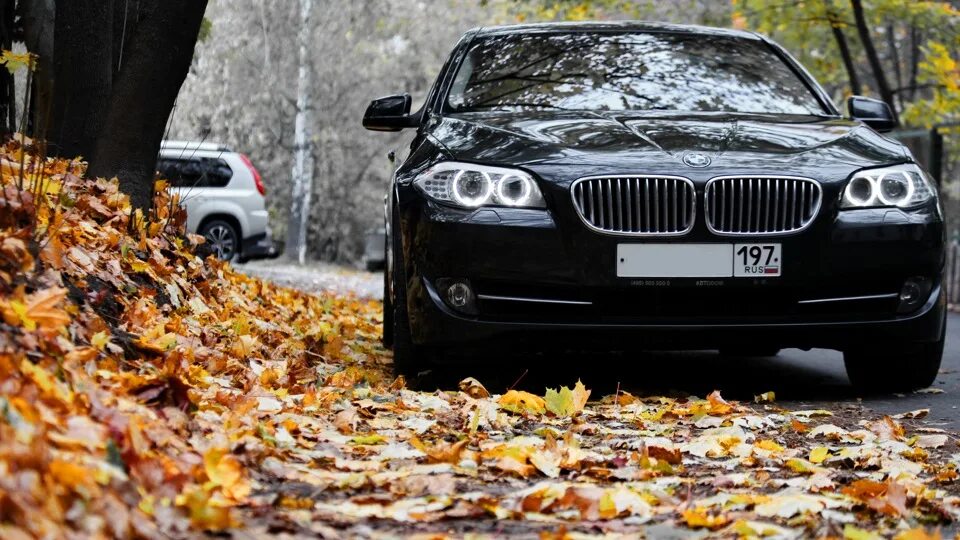 Надо мной м5. Осенняя БМВ х5. BMW осень. Белая БМВ осень.