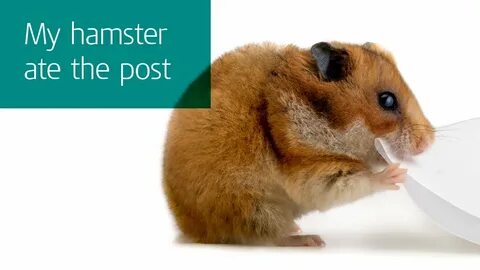 HMRC Is Shite: The Hamster Ate My Post.