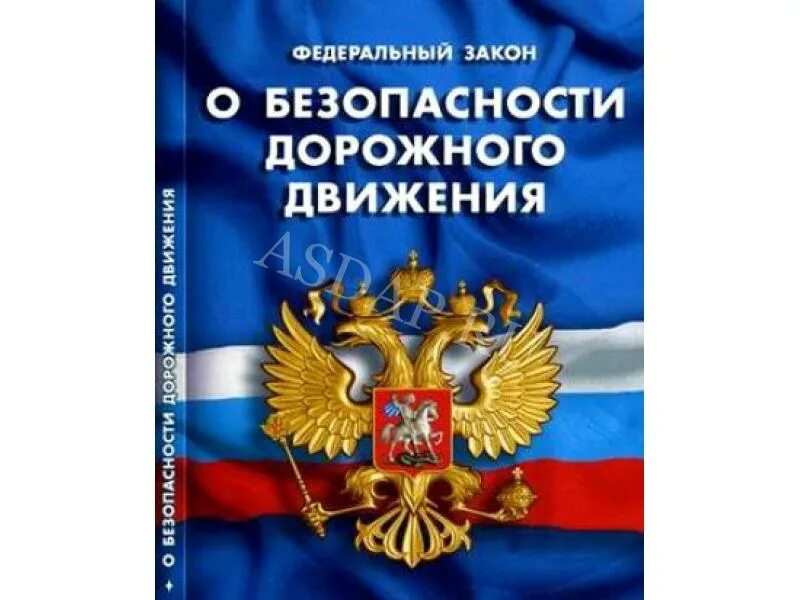 Фз о безопасности принят. ФЗ О БДД. ФЗ 196 О безопасности дорожного движения. О безопасности дорожного движения ФЗ обложка. Фото федерального закона о безопасности дорожного движения.