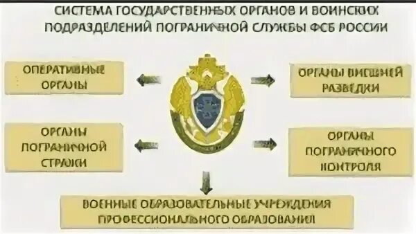 Органы пограничной службы республики беларусь