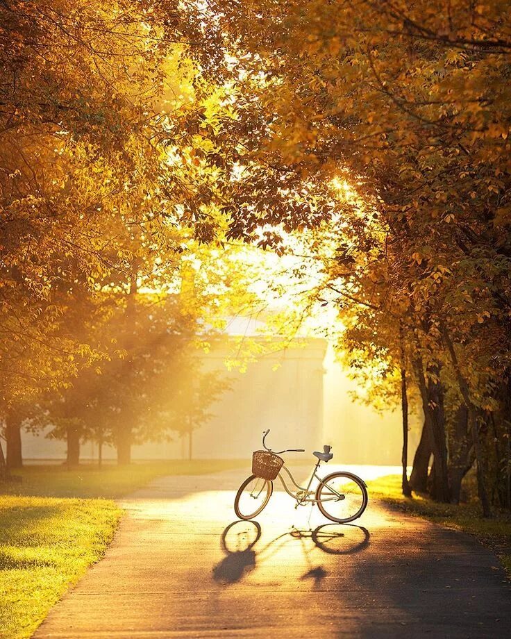 Прогулка ранним утром. Солнечная осень. Осенний велосипед. Красивые велосипеды. Осенний парк.
