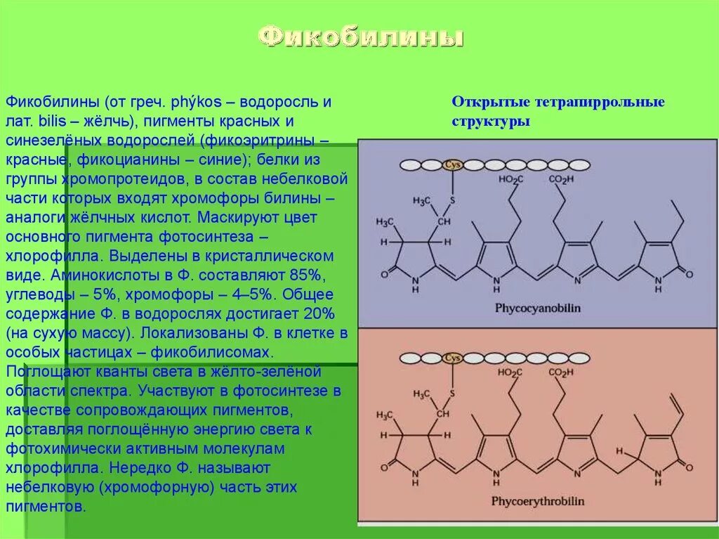 Строение пигментов. Фикобилины. Фикобилины строение. Пигменты фикобилины. Хлорофилл каротиноиды и фикобилины.