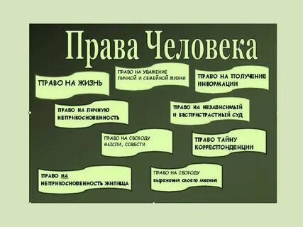 21 право человека