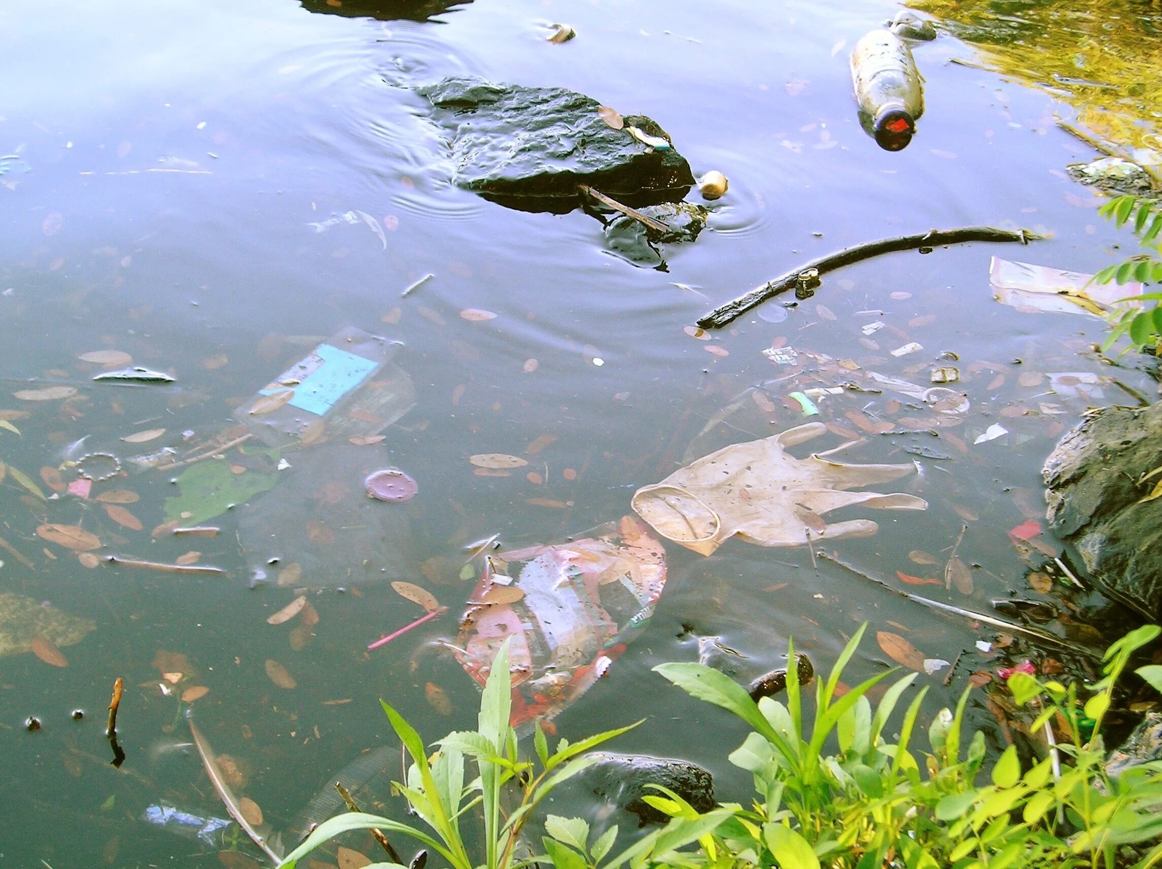 Загрязнения водохранилище