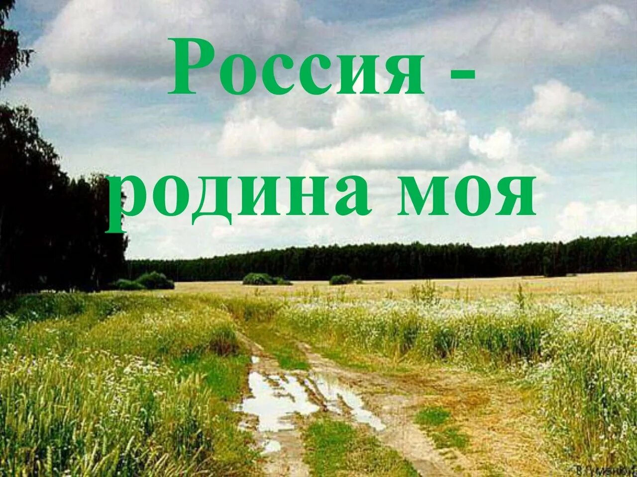 Тебя дорогая моя родина я люблю. Моя Родина. Родина Россия. Родимая моя. Родной край.