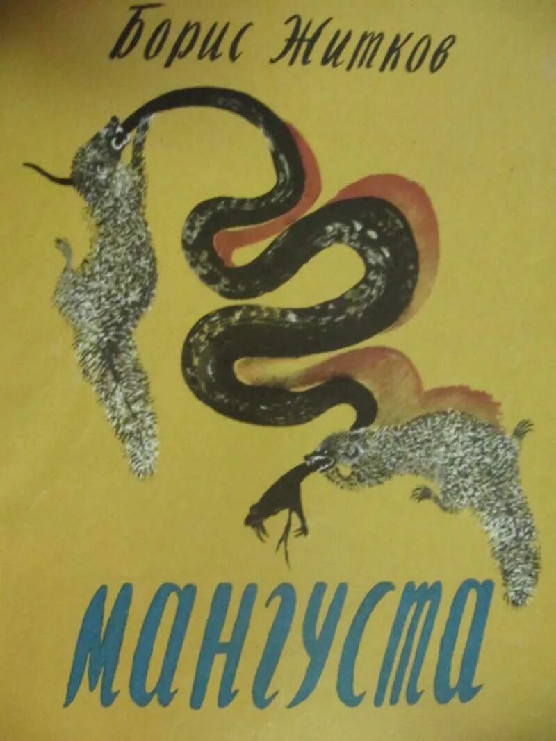 Сказка о мангусте. Иллюстрации мангуста Житкова. Сказка о Борисе Житкова мангуста.