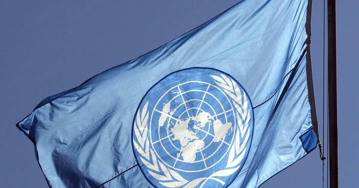 Совет по правам человека ООН. Комиссия по правам человека ООН. Европейская конвенция о взаимной
