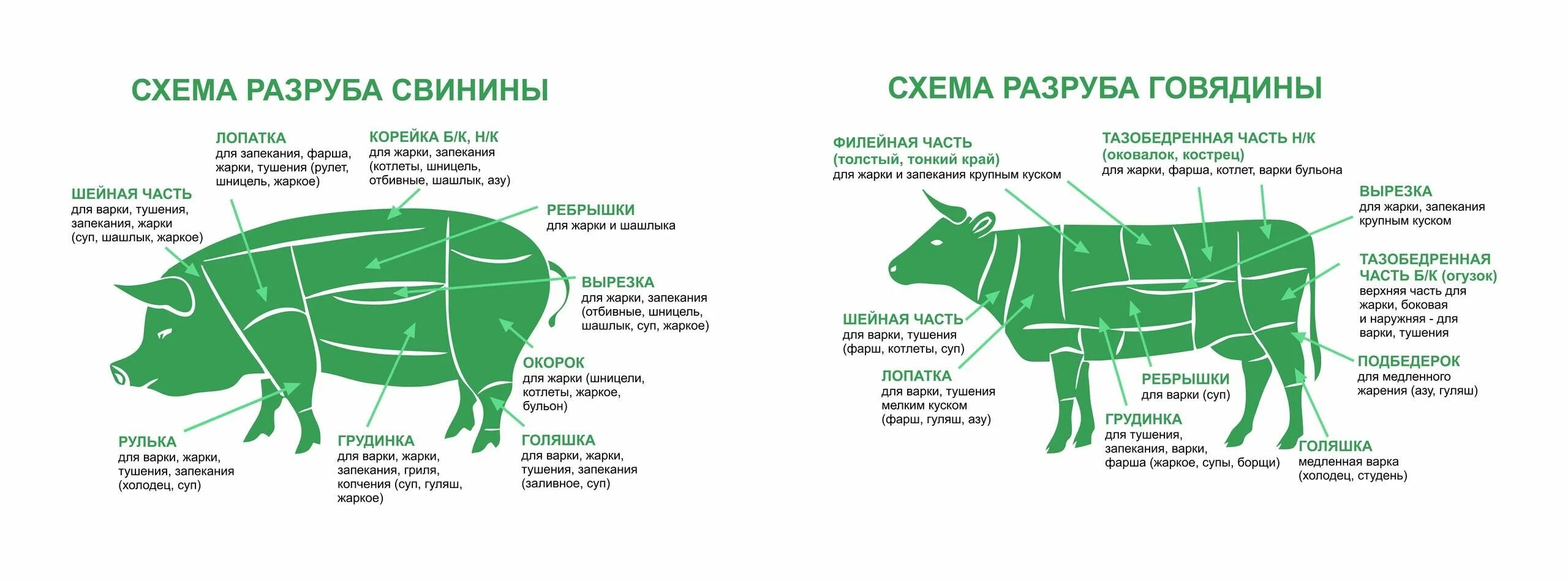 Части говядины для чего подходит. Схема розничной разделки свиной туши. Туша свинины схема разруба. Разделка мяса говядины схема. Части разделанной туши свинины схема.