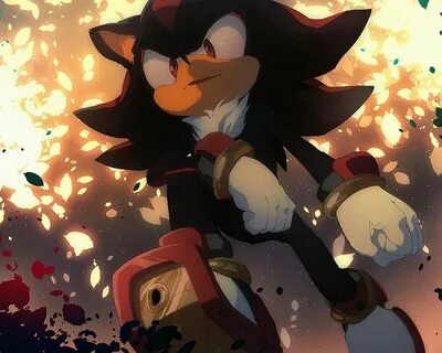 Shadow the world