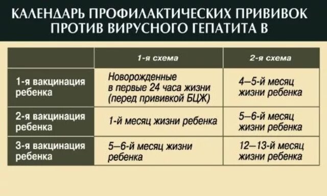 Сколько раз делается прививка от гепатита б