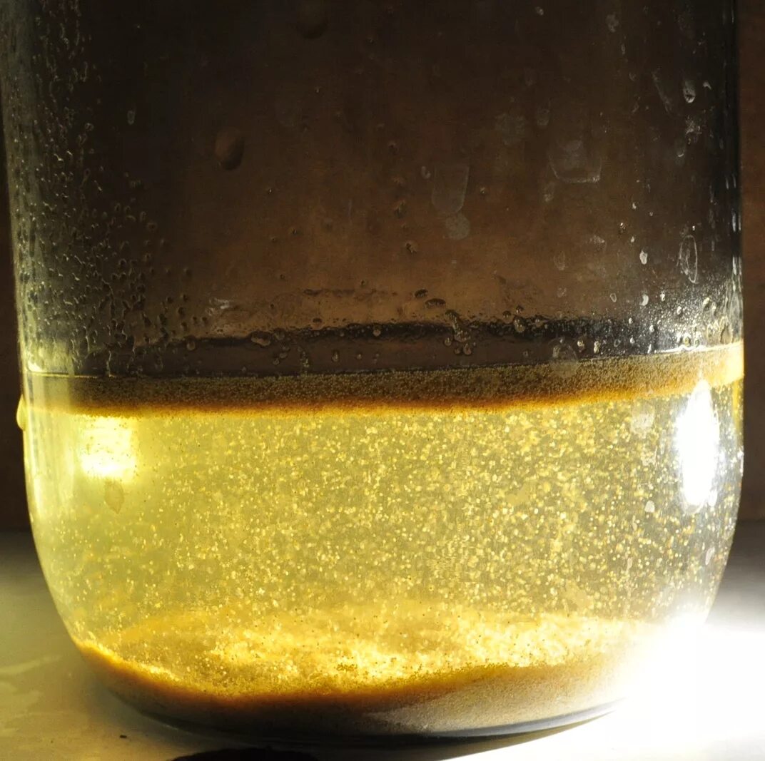 приспособления для разведения артемии. инкубатор для артемии своими руками чертежи. выращивание артемии. Artemia salina цисты. артемия разведение.