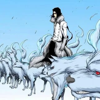 Coyote starrk