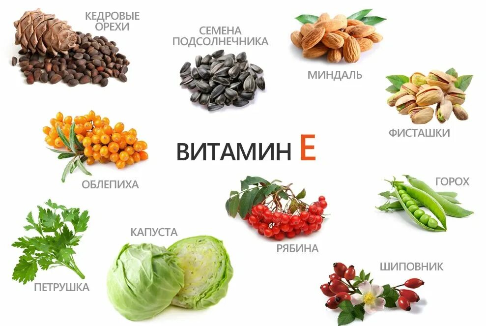 Витамин е в каких продуктах