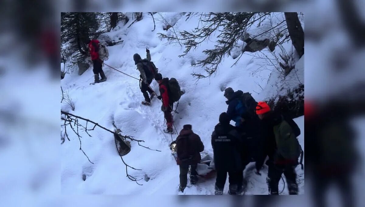 Альпинист мчс россии. Спасатель. Спасатели находят потерявшегося в лесу. Спасатели терскол. Спасатели пропали.