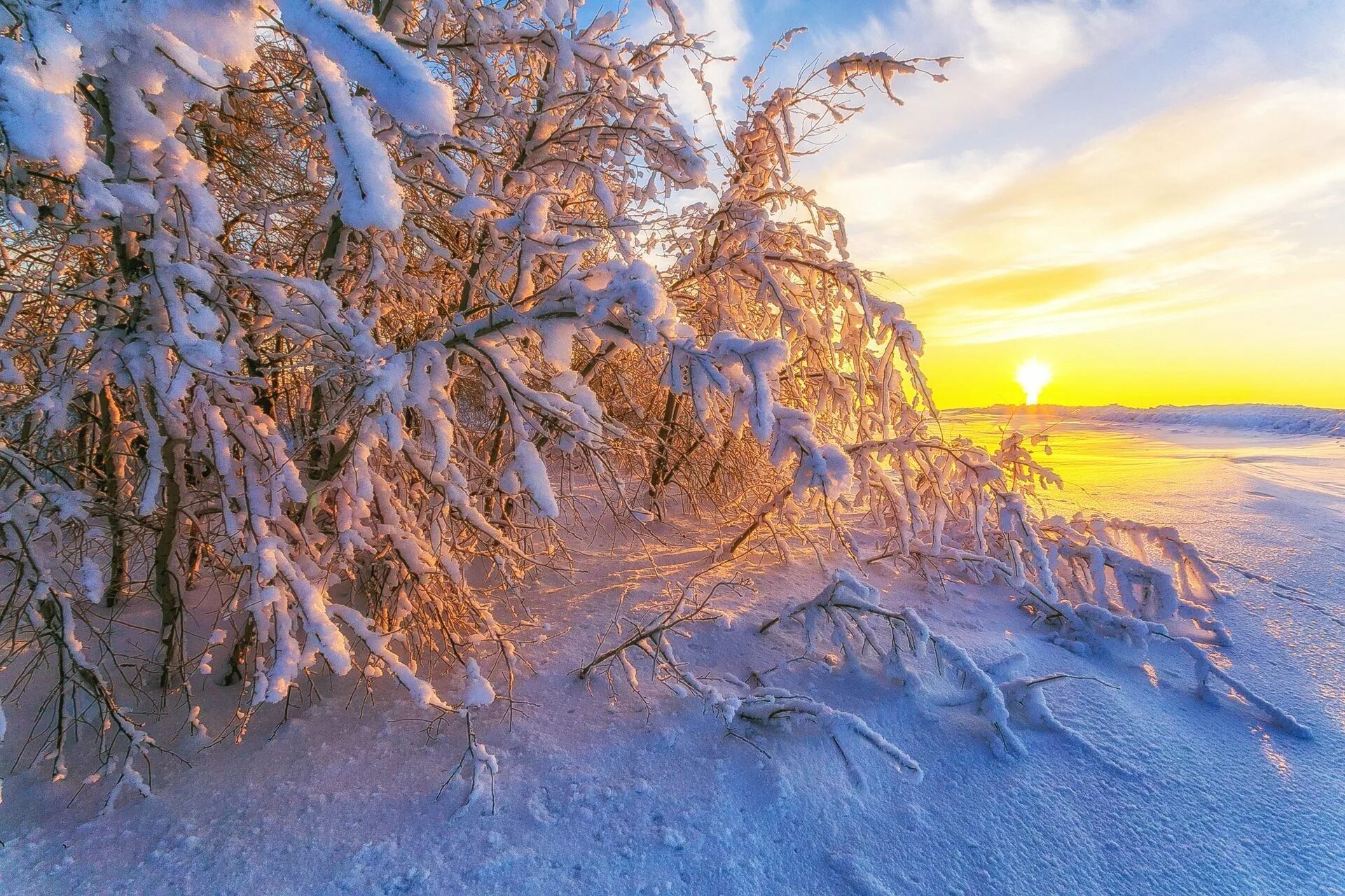 Красивое солнце зима