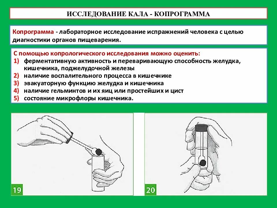 Как нужно сдавать кал