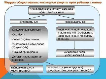 Право общественный институт