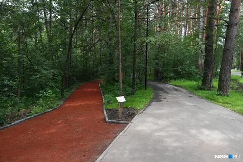 Как доехать до заельцовского парка