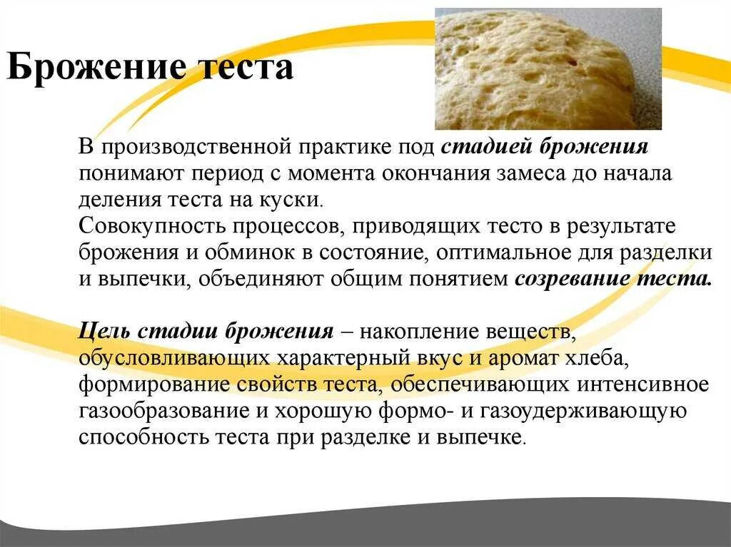 Сколько по времени поднимается дрожжевое тесто