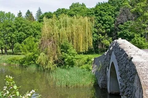 Марьино курская область