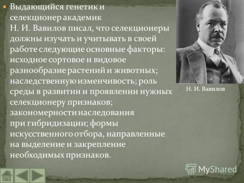 генетик селекционер. ученые внесшие вклад в генетику. и. генетик селекционер. георгий дмитриевич карпеченко селекция.